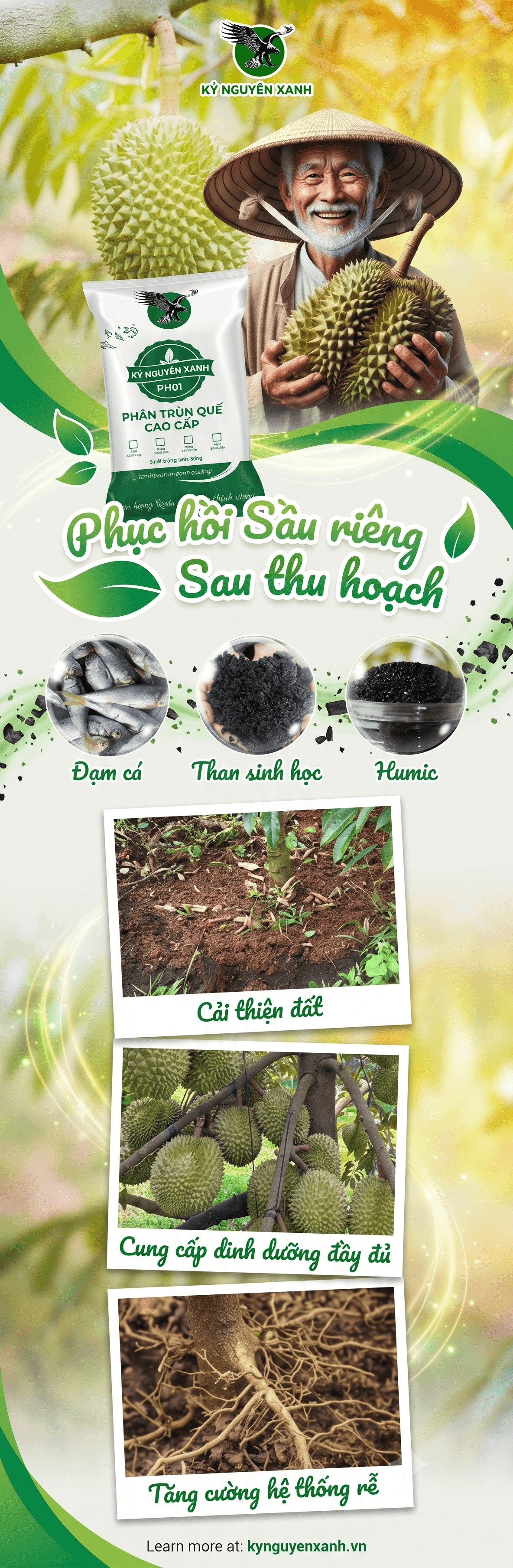 Sầu Riêng Hữu Cơ Tây Nguyên